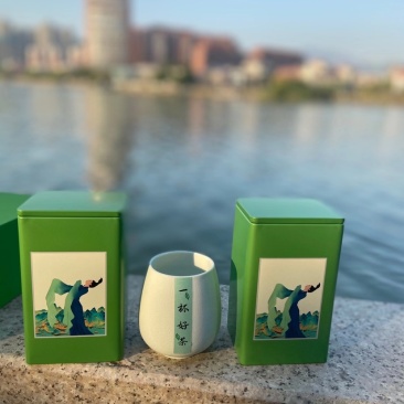雀舌新茶礼盒装250g