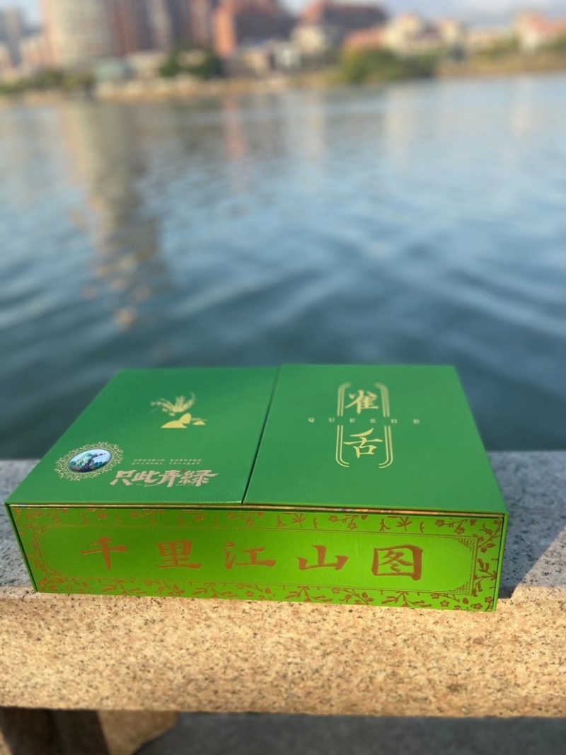 雀舌新茶礼盒装250g
