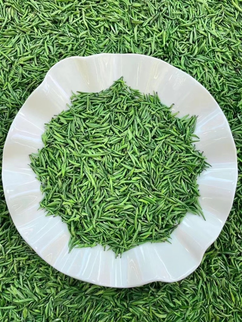 雀舌新茶礼盒装250g