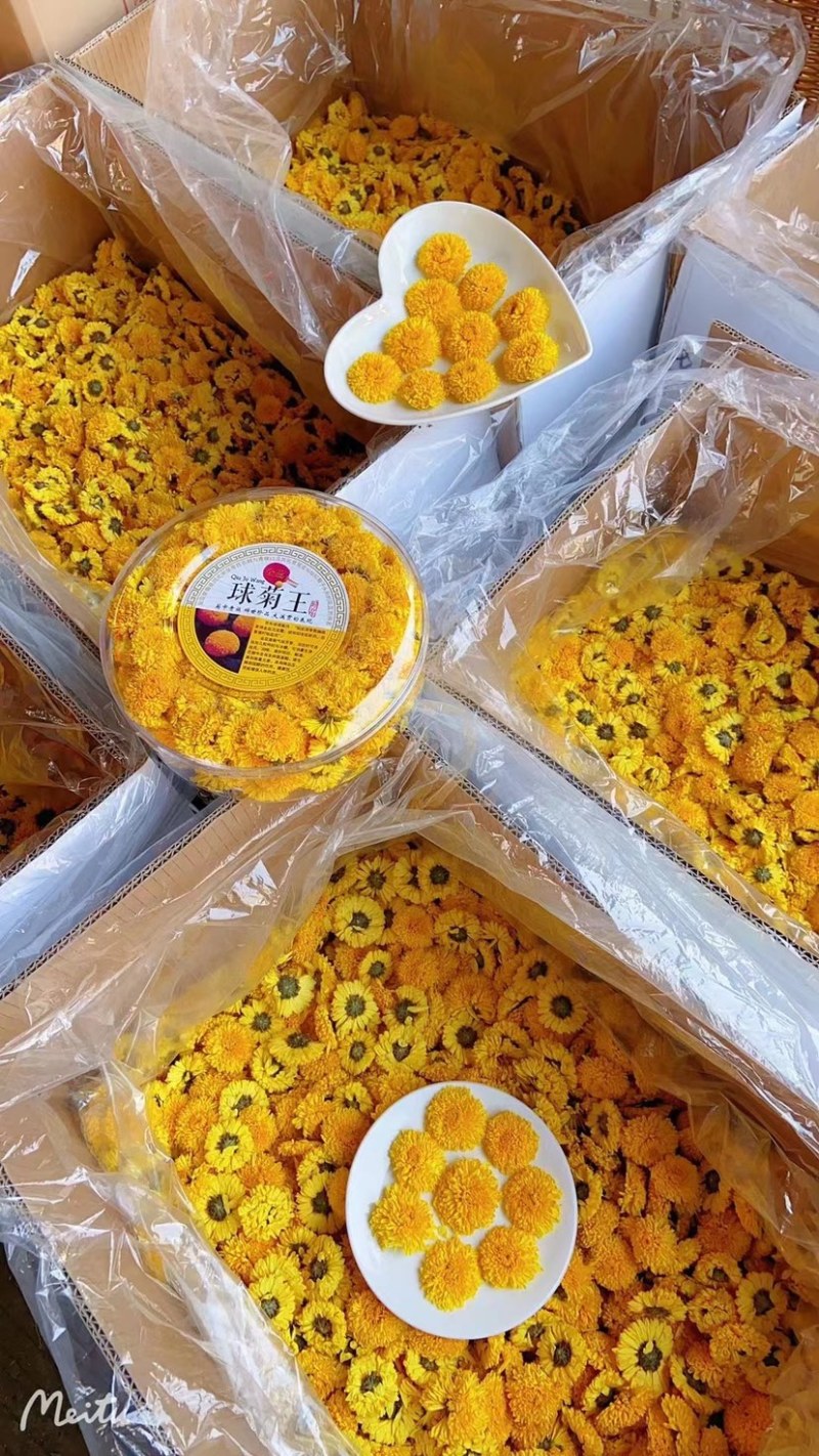 批发大球菊王一朵一杯球菊王大皇菊黄山菊花茶礼盒装