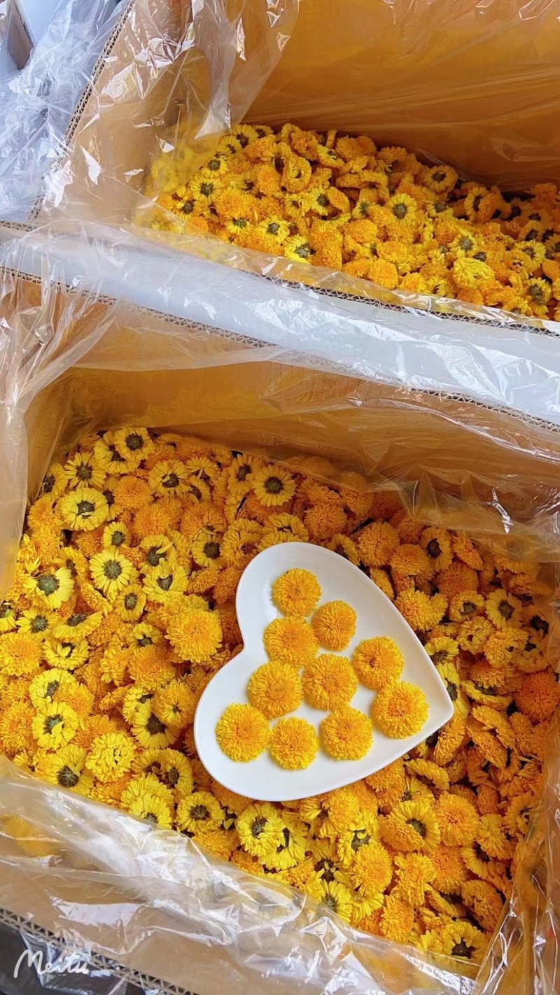 批发大球菊王一朵一杯球菊王大皇菊黄山菊花茶礼盒装