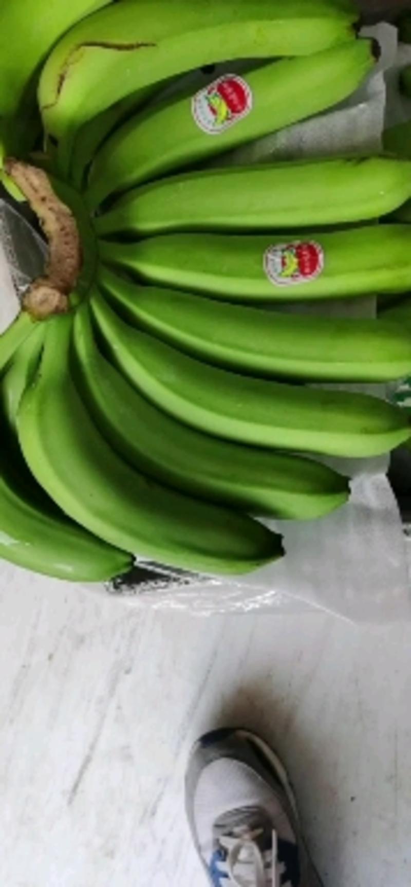 主营香蕉，青蕉二黄蕉长年大量现货！无黑心斑点无硬心黑把