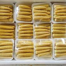 全年无休玉米笋大量供应，支持全国各地发货，物美价廉