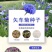 新矢车菊花卉种子混色单色花海景观庭院易种易混花种子批发