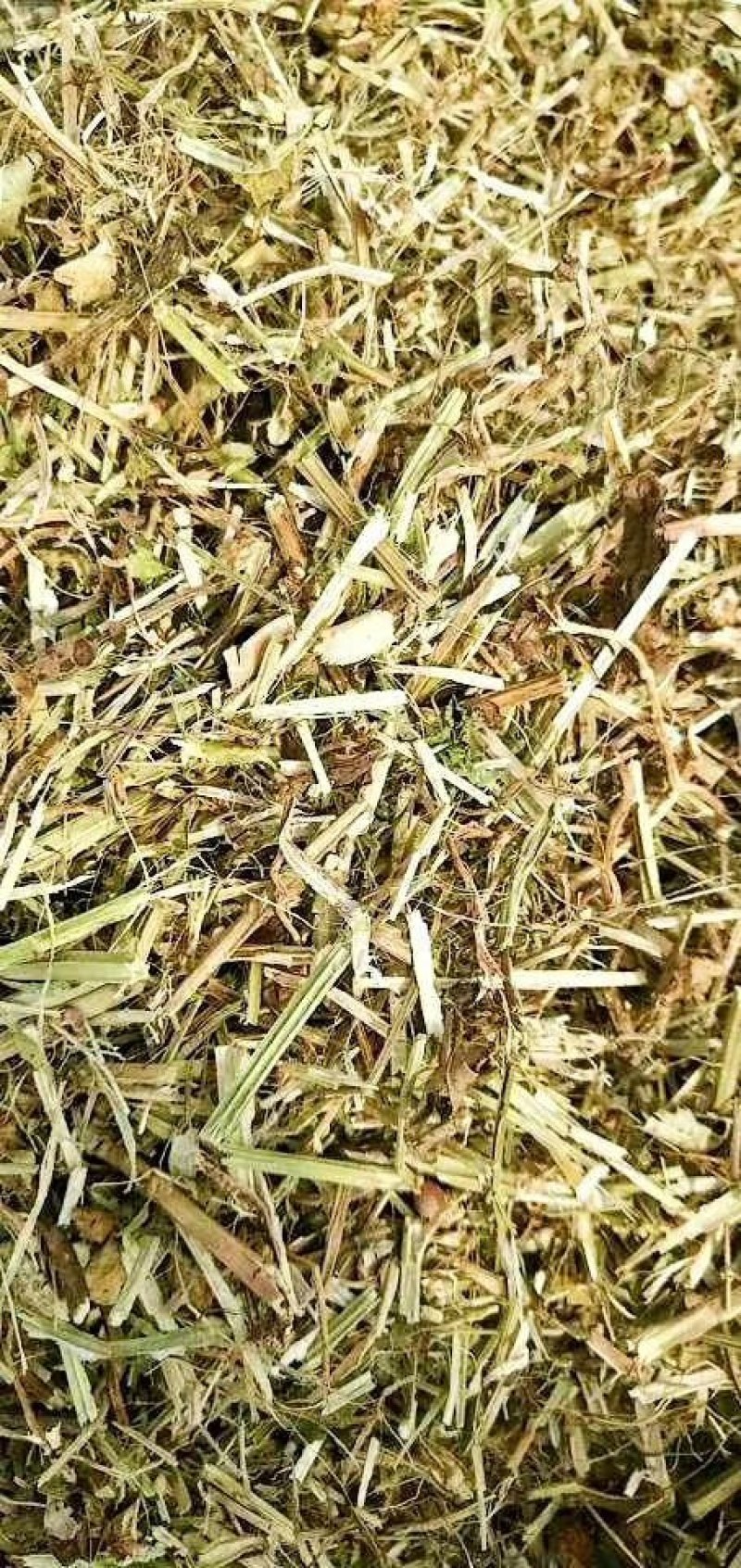 花生秧:牛，羊、马、驴、鹿，草料过滚筒筛除尘……