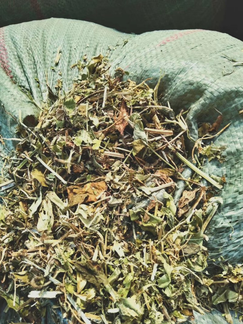 花生秧，牛羊马兔草料，过滚筒筛除尘，厂价直销