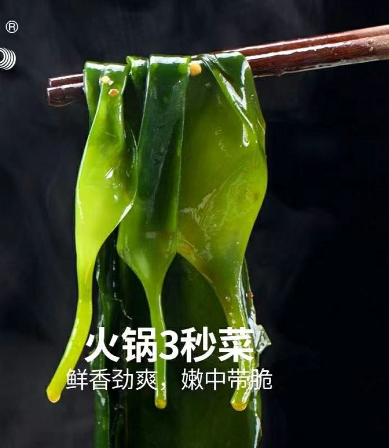 霞浦海带苗非干货新鲜小海带芽盐渍嫩苗凉拌火锅商用
