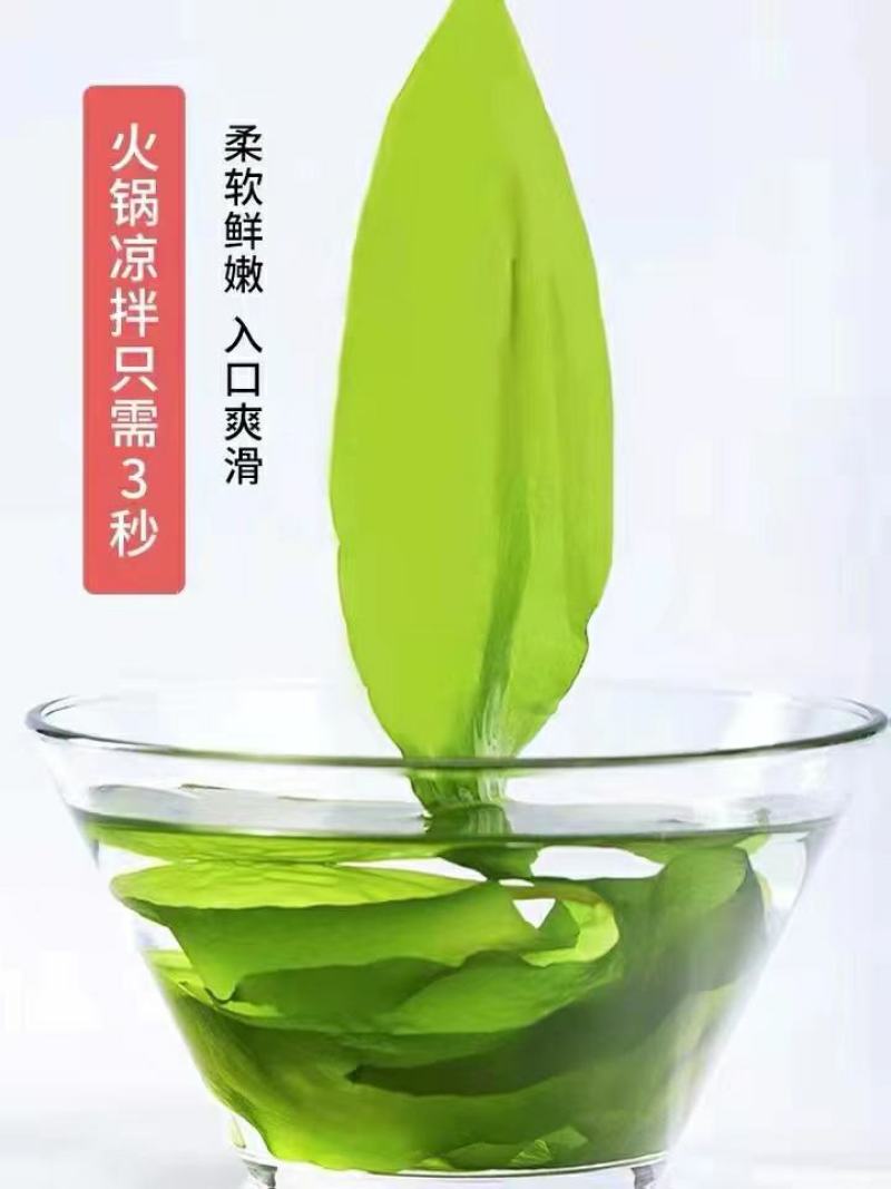 霞浦海带苗非干货新鲜小海带芽盐渍嫩苗凉拌火锅商用