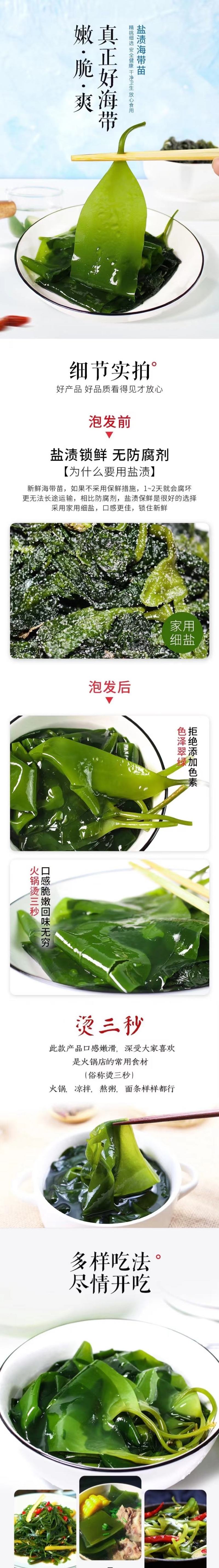 霞浦海带苗非干货新鲜小海带芽盐渍嫩苗凉拌火锅商用