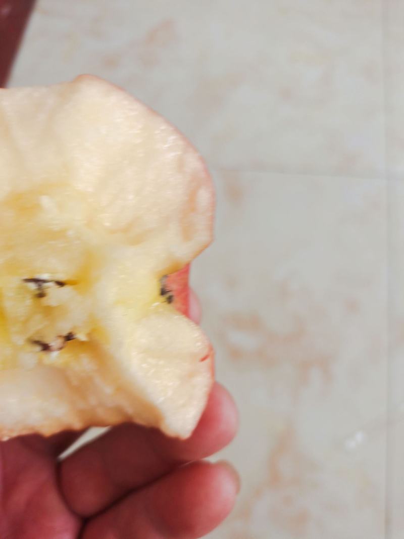 纸袋冰糖心红富士苹果大量现货出库中，口感脆甜多汁