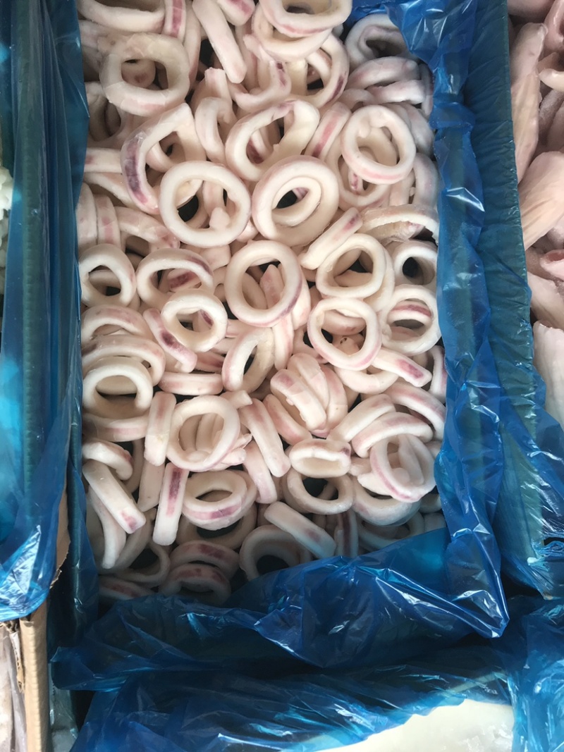速冻鱿鱼圈冷冻海产品、、