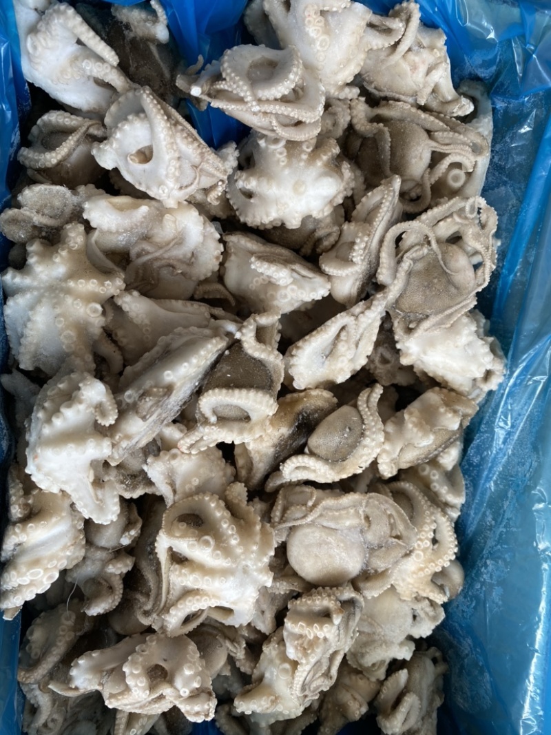 夏夷扇贝粉丝速冻海产品、、、、