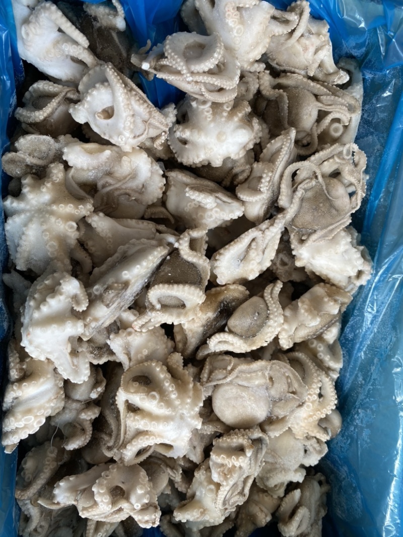 夏夷扇贝粉丝速冻海产品、、、、