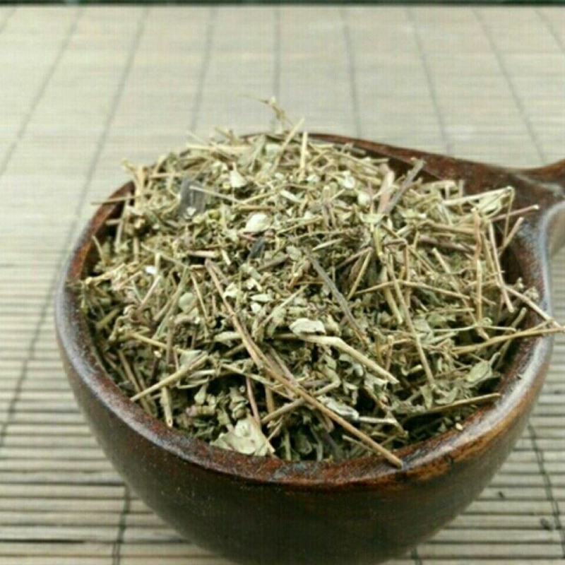 地锦草无硫干货奶草血见愁干净无杂中药材大全