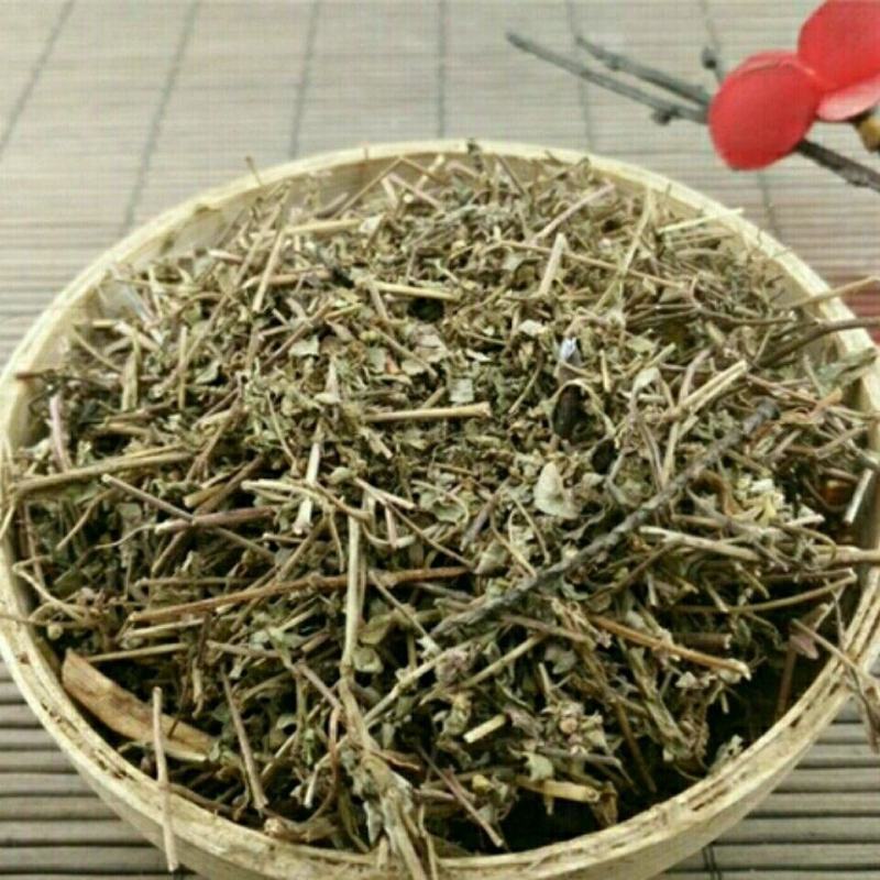 地锦草无硫干货奶草血见愁干净无杂中药材大全