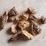【精品】正宗东北桦树茸当季新货手工精选品质保证量大优惠
