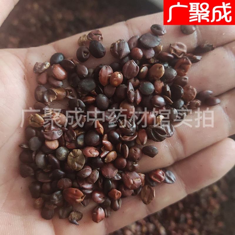 【包邮】【实拍】河北赞皇酸枣仁国产够含量非进口包检测饱满