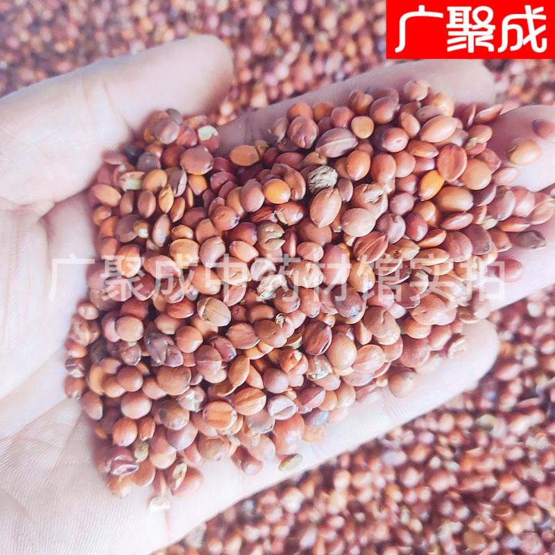 【包邮】【实拍】河北赞皇酸枣仁国产够含量非进口包检测饱满