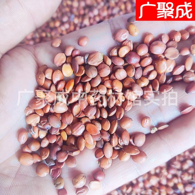 【包邮】【实拍】河北赞皇酸枣仁国产够含量非进口包检测饱满