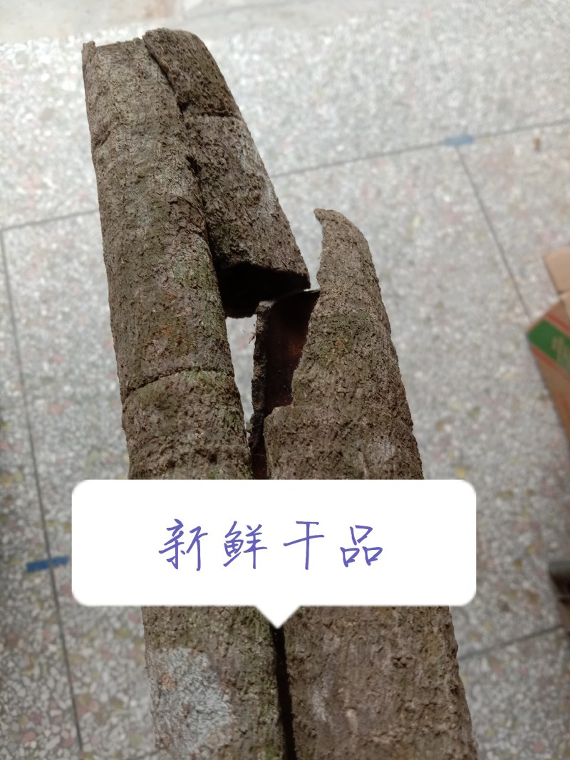 中药材救必应，榕胆木皮，薄皮，白银树。农民辛勤采割，迎客
