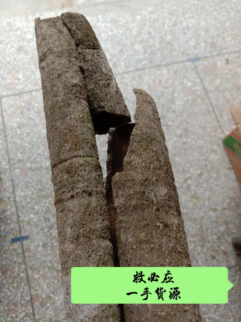中药材救必应，榕胆木皮，薄皮，白银树。农民辛勤采割，迎客