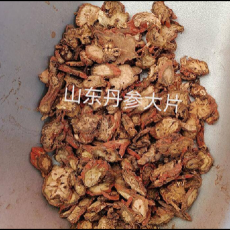 超高性价比丹参保质保量无杂质新鲜上市