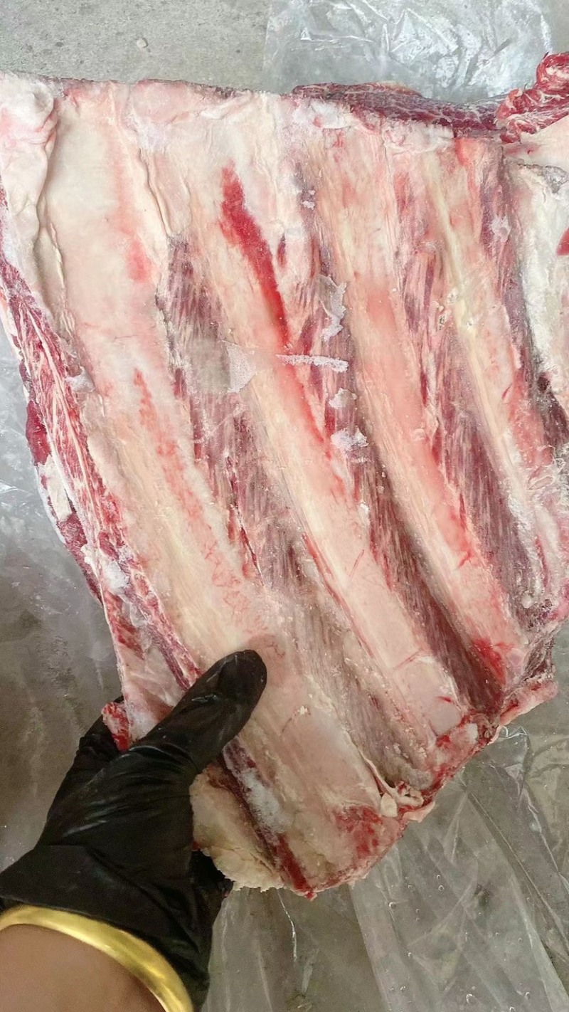 满肉牛排段质量看得见现货出售肉多满满