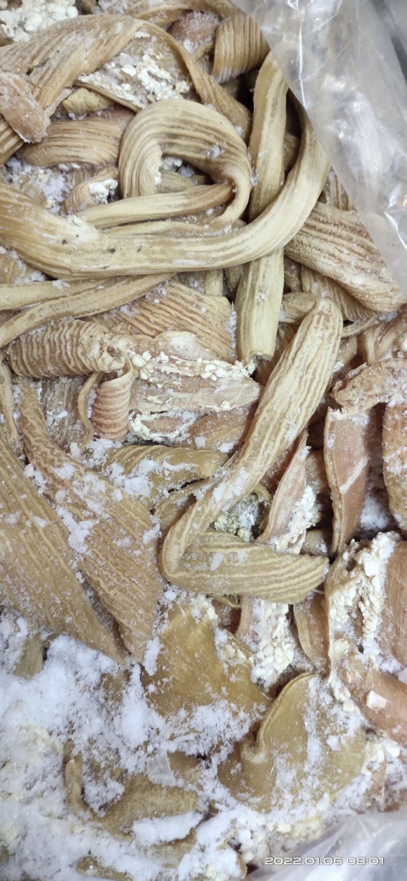 【熟牛肠】牛大肠抛开去油质量看得见现货出售