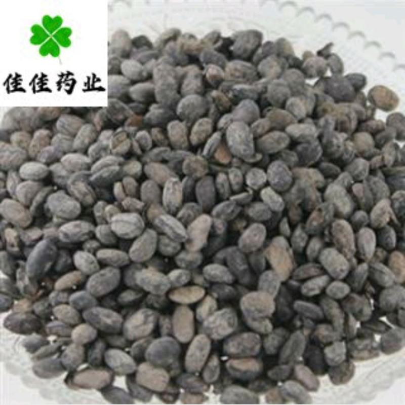 淡豆豉淡豆鼓实物图新货供应各种中药材