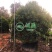 漳州杨梅批发价格、福建大量供应水果苗、杨梅种植基地