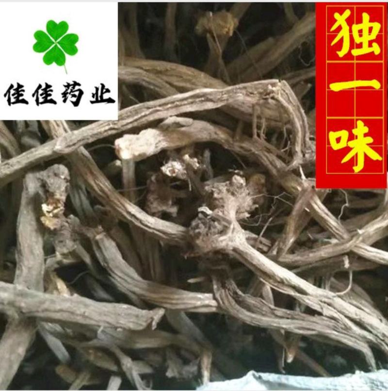 独一味独一味根无硫实物图供应各种中药材