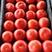 西红柿，粉西红柿，河北西红柿，颜色好口感佳耐运输代发全国