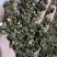 浮萍浮萍草青浮萍青萍统货佳佳药业供应各种中药材