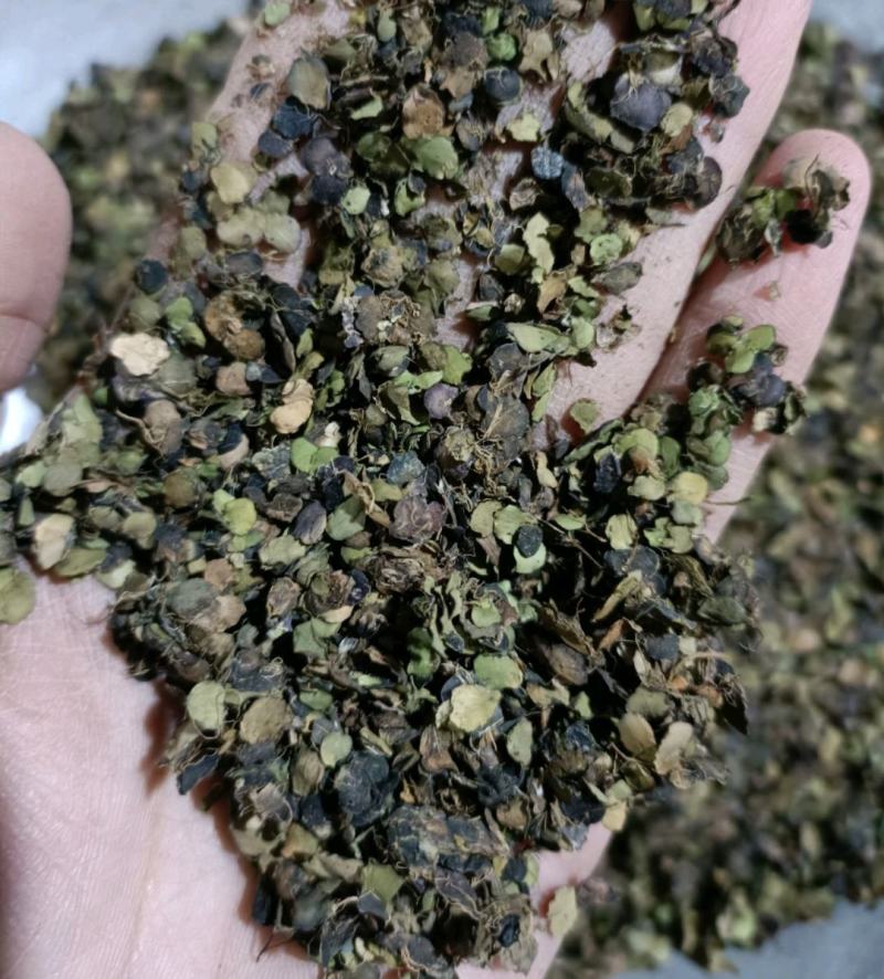 浮萍浮萍草青浮萍青萍统货佳佳药业供应各种中药材
