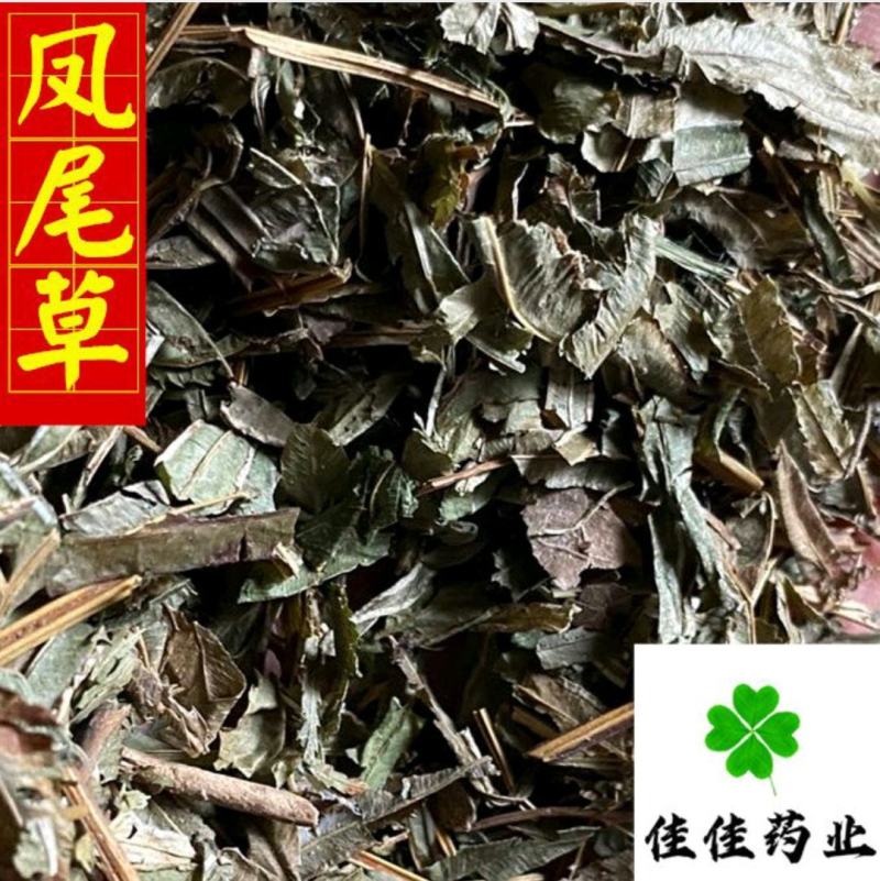 凤尾草颜色好过筛货货干量大从优供应各种中药材