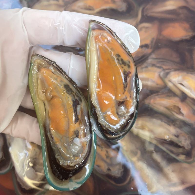 青口贝，适合烧烤清蒸，可支持半壳加工服务，一件代发