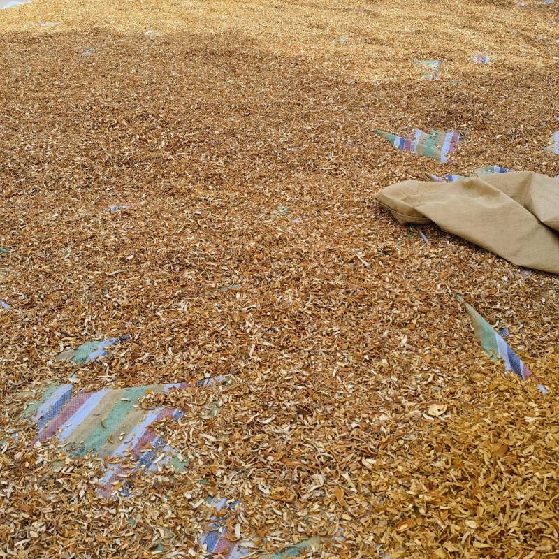 陈皮特惠促销全网低价保质保量赶紧下单