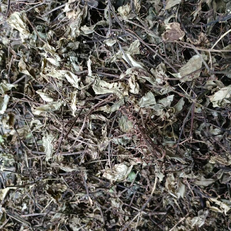 三叶青藤干货及鲜货，一手货源，量大优惠。