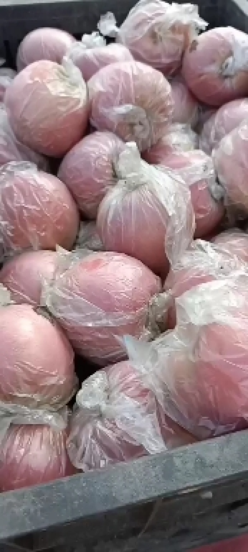 徐州丰县大沙河百果园红富士，口感甜脆，色泽鲜艳