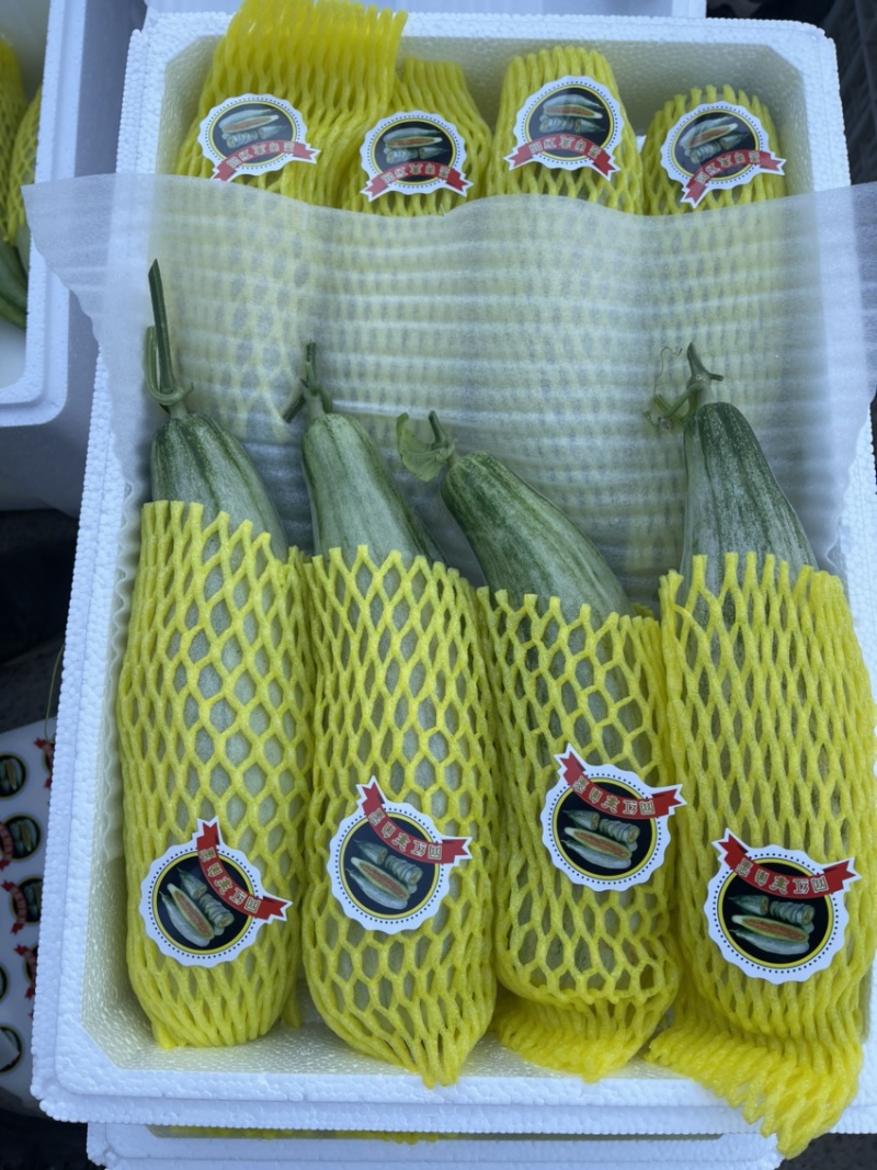 山东羊角蜜甜瓜，香甜可口，基地直供保质保量，量大价优