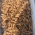 低价大量出售天麻种，颗颗精挑细选，品质保证，欢迎抢购……
