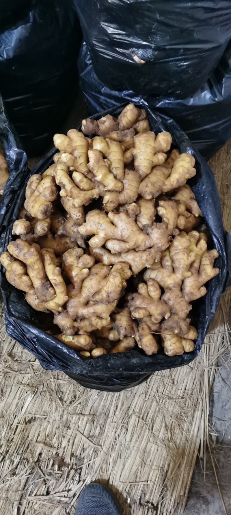 山东优质小黄姜常年供货，水洗加工，专业团队