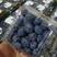 云南蓝莓，L25，L11，F6春高，整车，团购，市场