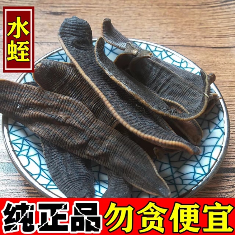 水蛭干货回收，水蛭苗，蚂蝗苗幼年开口苗批发欢迎实地考察
