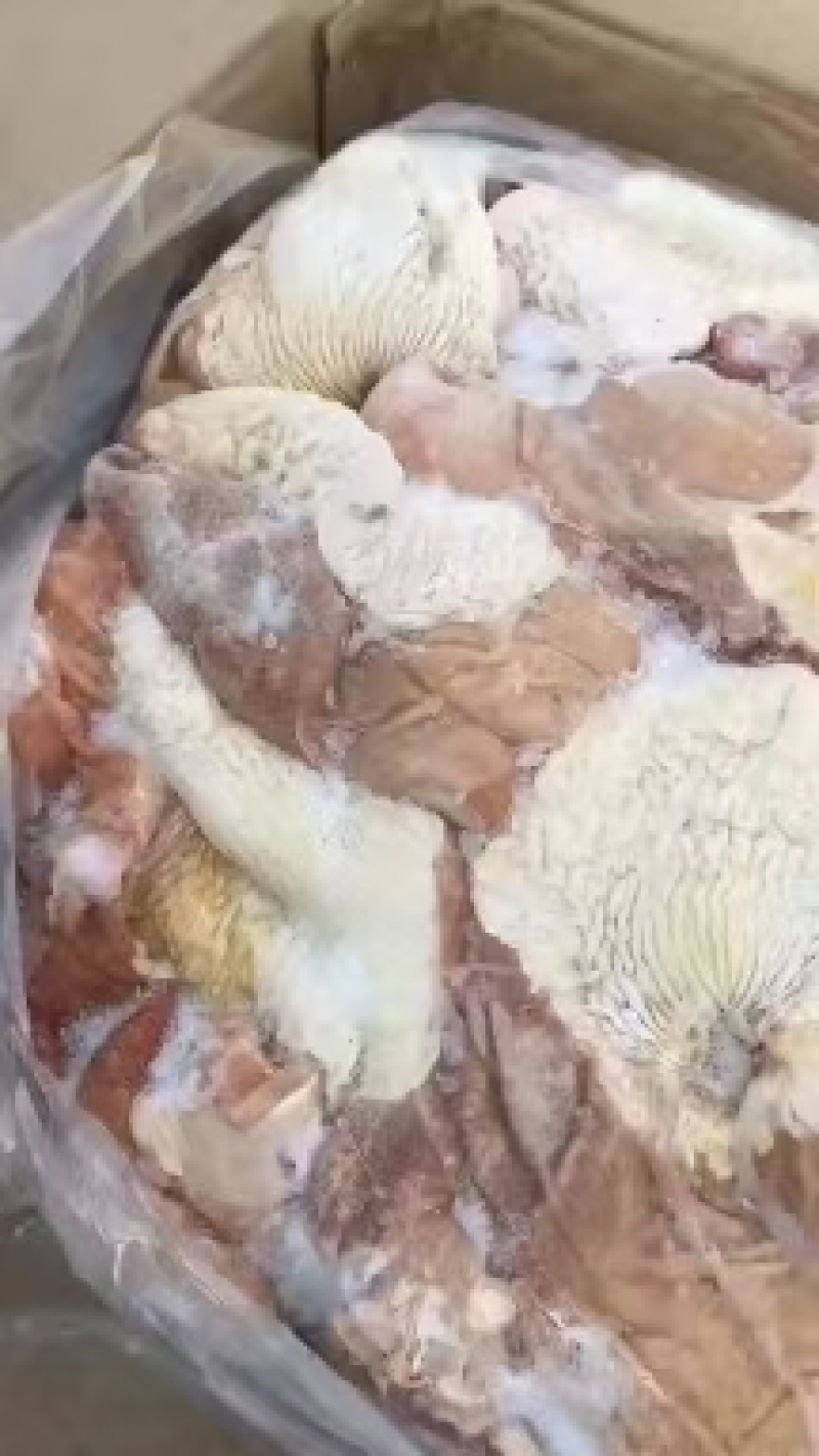驴肚。颜色鲜亮，现货，有需要联系，欢迎咨询