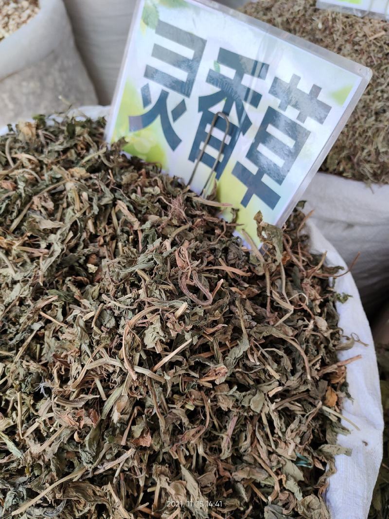 广西大山中草药灵香草零陵草零香草干品无杂质