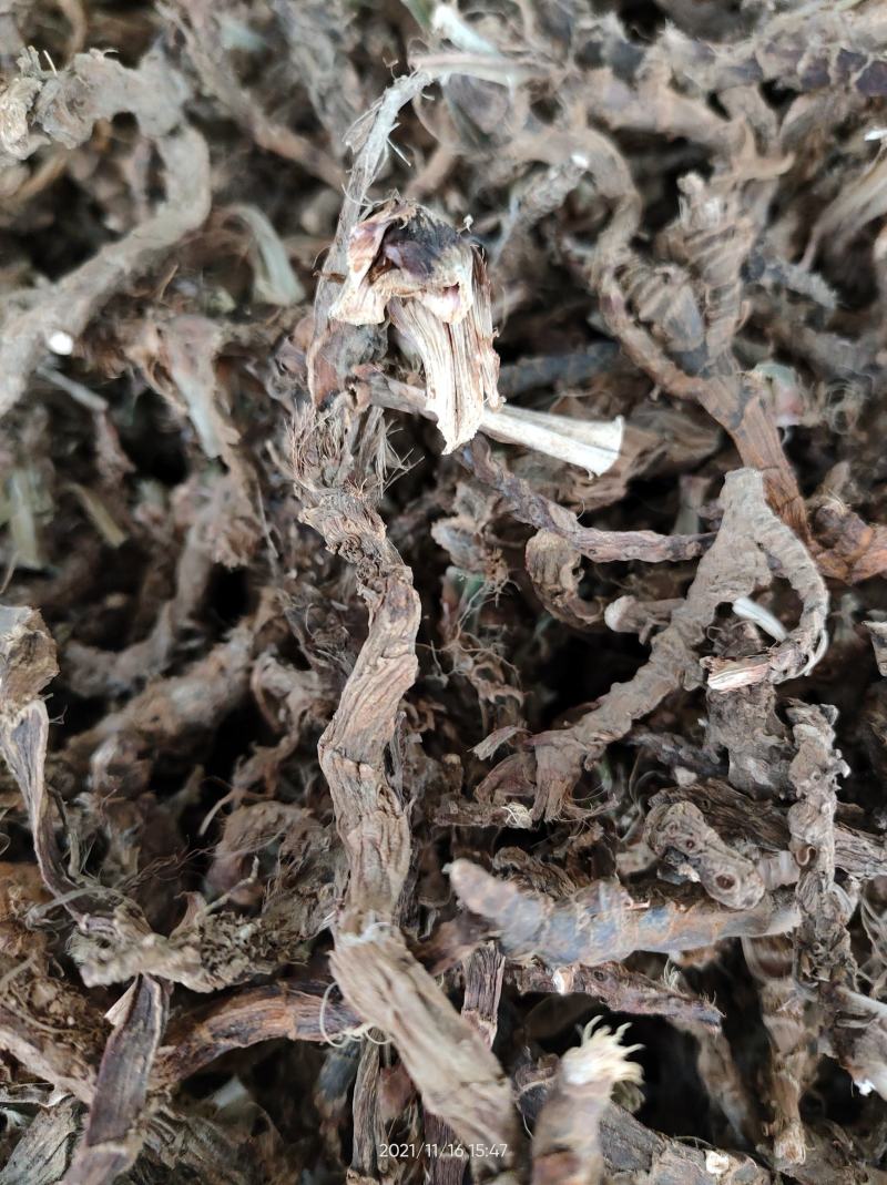 广西正品石菖蒲石菖卜