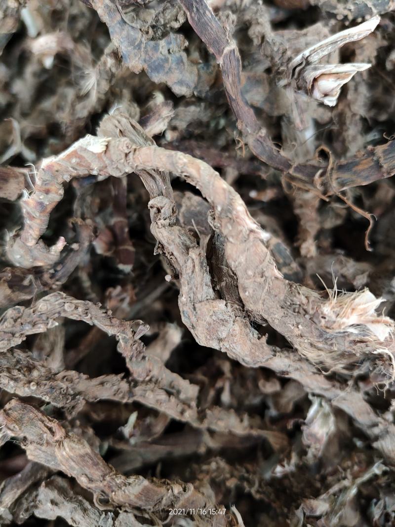 广西正品石菖蒲石菖卜