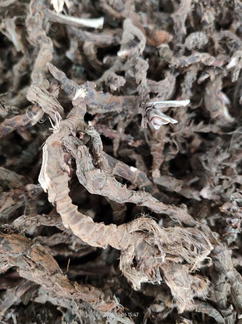 广西正品石菖蒲石菖卜