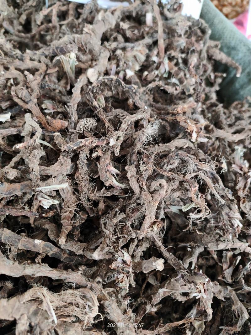 广西正品石菖蒲石菖卜